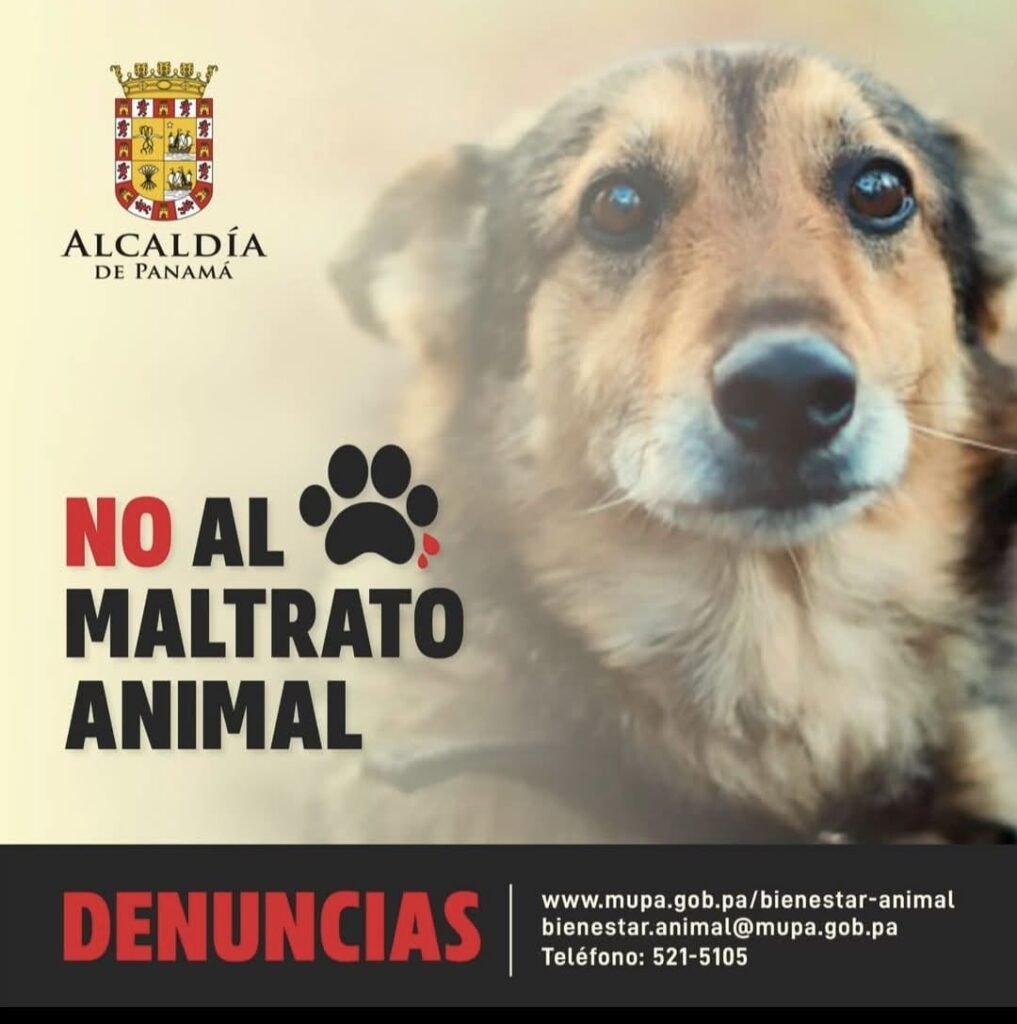no al maltrato animal panama