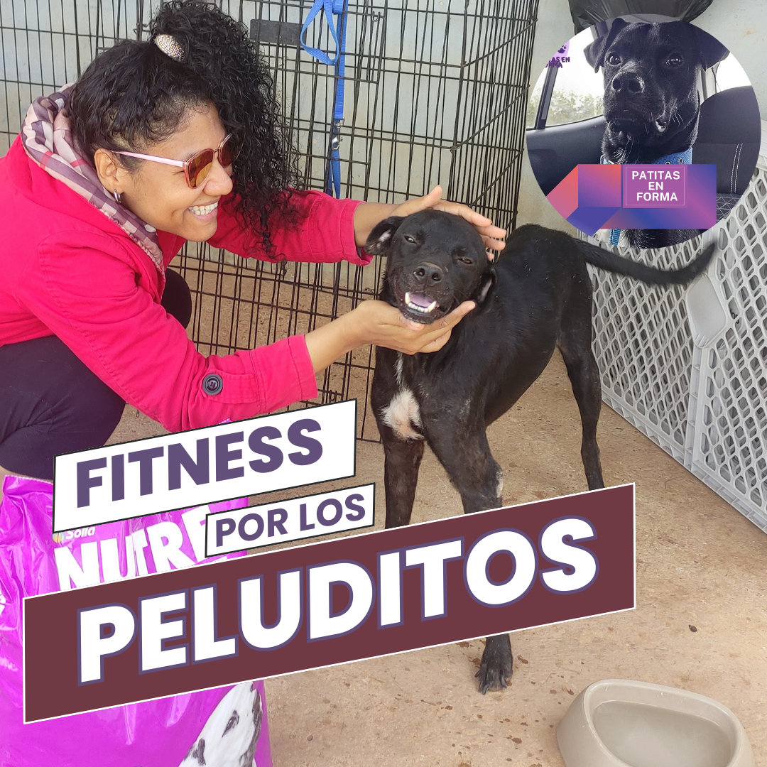 patitas en forma panama